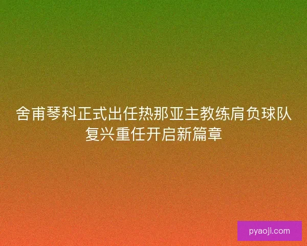 舍甫琴科正式出任热那亚主教练肩负球队复兴重任开启新篇章